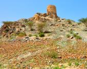 Hatta